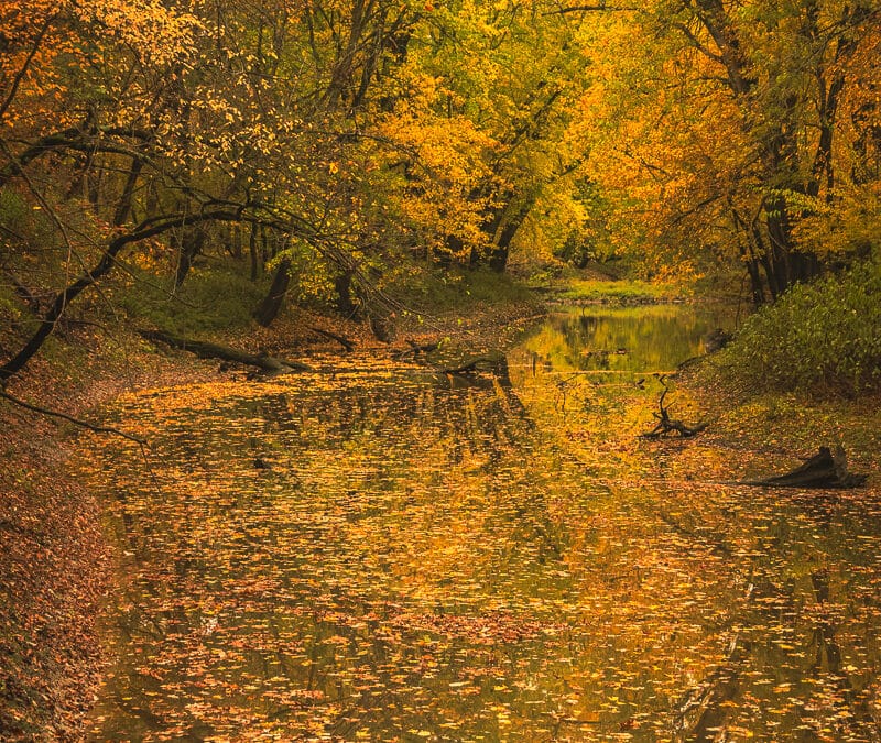 Landmarks & Landscapes